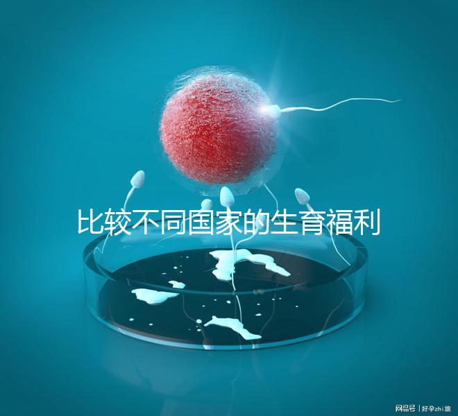 比較不同國家的生育福利|生孩子還能拿到錢嗎?