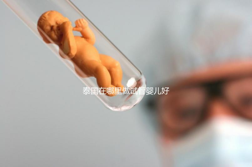 泰國(guó)在哪里做試管嬰兒好(泰國(guó)在哪里做試管嬰兒好一點(diǎn))