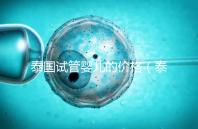 泰國試管嬰兒的價格（泰國試管嬰兒的價格要多少）