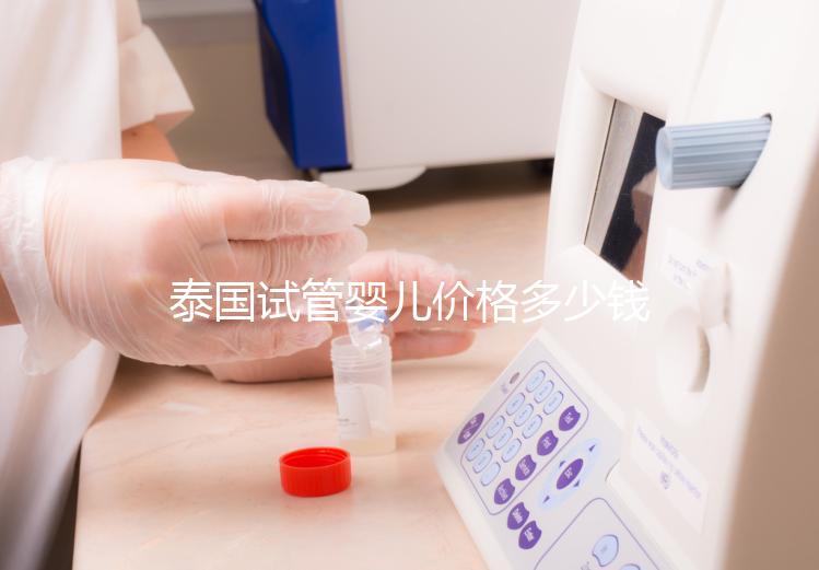 泰國試管嬰兒價格多少錢，2025年費用詳情解讀