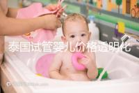 泰國試管嬰兒價格透明化：2025年費(fèi)用詳情及預(yù)算指導(dǎo)