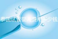 泰國試管嬰兒費用多少錢（泰國試管嬰兒費用多少錢呢）