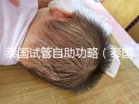 泰國試管自助功略（泰國試管自助經(jīng)歷）