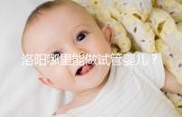 洛陽哪里能做試管嬰兒？還想了解費(fèi)用和成功率看這里
