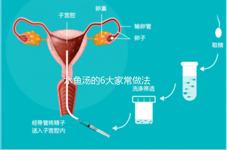 水魚湯的6大家常做法 輕松好學(xué)功效絕佳
