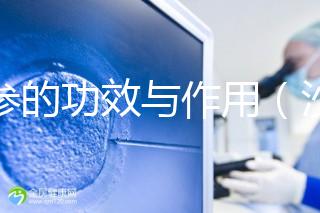 沙參的功效與作用(沙參的功效與作用主要治什么病癥)