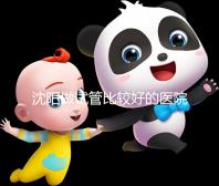 沈陽做試管比較好的醫院排名