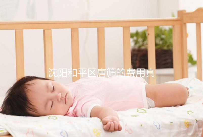 沈陽和平區唐篩的費用真的不貴！政府支付2024年合格的費用