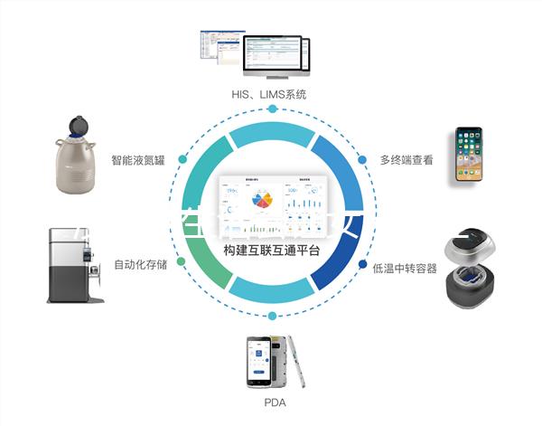 沒有性生活會讓女人月經不調,提前衰老嗎?