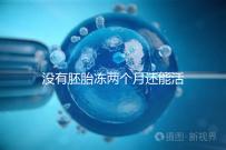沒有胚胎凍兩個月還能活著嗎？60s會告訴你怎么樣？