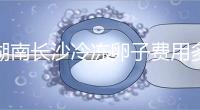 湖南長沙冷凍卵子費用多少？中信湘雅盧光琇教授這樣說...