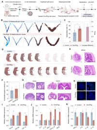 湛江男科醫(yī)院排名好的醫(yī)院分享，2024廣醫(yī)大附院上榜