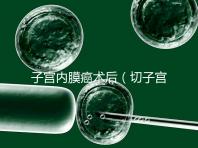 子宮內(nèi)膜癌術(shù)后（切子宮手術(shù)需要多少錢(qián)）