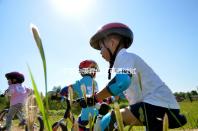 子宮內膜異位癥可通過試管嬰兒技術，解決不孕難題