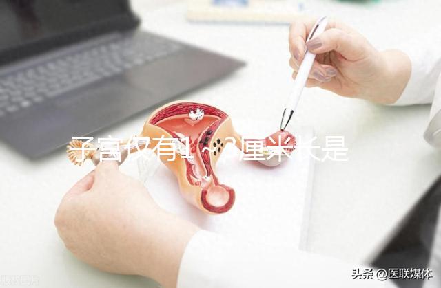 子宮僅有1~3厘米長是始基子宮?細(xì)說什么是始基子宮