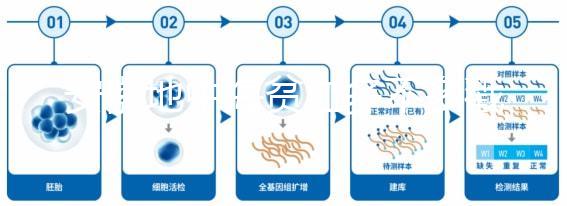 安徽地中海貧血多不多戳，合肥比例低也要早發(fā)現(xiàn)早治療