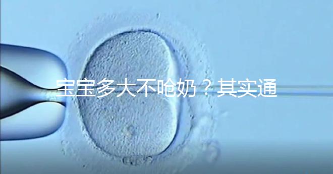 寶寶多大不嗆奶？其實通常到了足夠的月份就不會嗆奶了