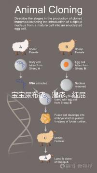 寶寶尿布疹、濕疹、紅屁股傻傻分不清？4點(diǎn)區(qū)別輕松診斷
