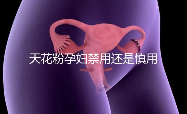 天花粉孕婦禁用還是慎用好看這,5個月不小心吃了有影響