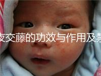 夜交藤的功效與作用及禁忌（合歡花夜交藤的功效與作用及禁忌）