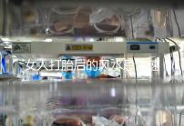 女人打胎后的風水忌諱速來觀看，破解方法或能起關鍵作用