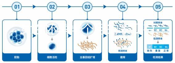 女性懷孕半個(gè)月的表現(xiàn)有哪些