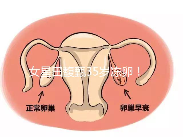 女星田馥甄35歲凍卵!揭秘你不知道的明星凍卵過(guò)程