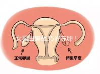 女星田馥甄35歲凍卵！揭秘你不知道的明星凍卵過程