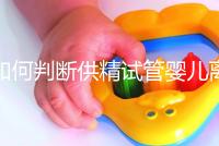 如何判斷供精試管嬰兒離婚，會不會一目了然地判給女方？