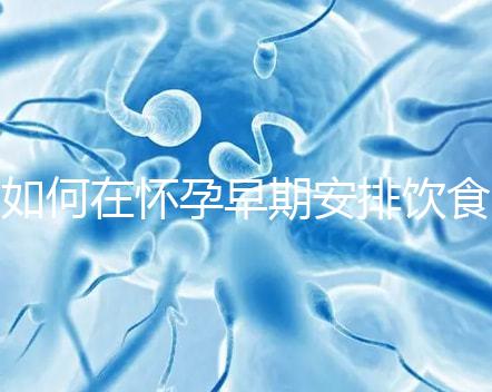如何在懷孕早期安排飲食？