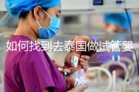 如何找到去泰國做試管嬰兒的本地翻譯？內部搜索可靠的本地翻譯方法分析