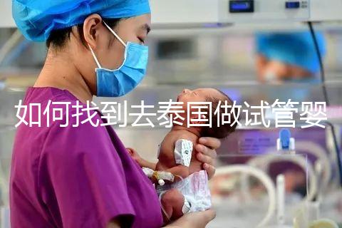 如何找到去泰國做試管嬰兒的本地翻譯？內(nèi)部搜索可靠的本地翻譯方法分析