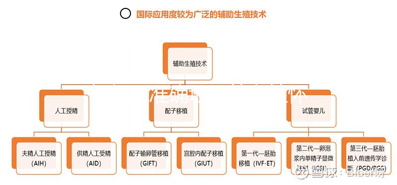 如何更準確地計算女性懷孕時間？