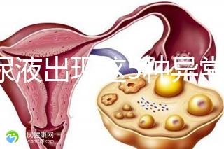 當尿液出現(xiàn)這5種異常情況,那么腎功能檢查刻不容緩