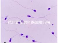 德州正規男科醫院排行榜分享！2024哪個最好一看便知