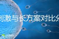 微刺激與長方案對比分析，5大區別告訴你選哪個好