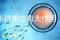 小小臍帶血有大作用，不僅能治療白血病還能拯救腦癱兒