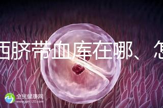 山西臍帶血庫在哪、怎么保存答案在這,太原存20年費用竟…