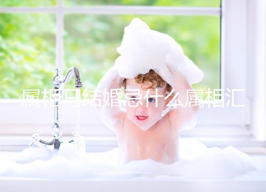 屬相馬結(jié)婚忌什么屬相匯總,2023和鼠、牛真相克請三思