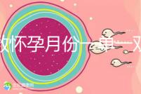 歲數懷孕月份一單一雙懷兒子幾率??？那是你沒按照農歷來