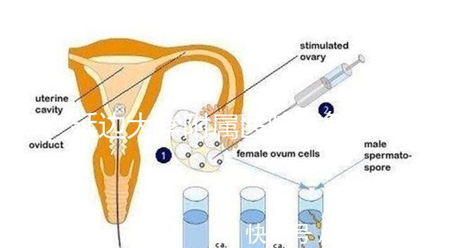 延邊大學附屬醫(yī)院試管怎么樣,助孕成功率、收費目錄表奉上
