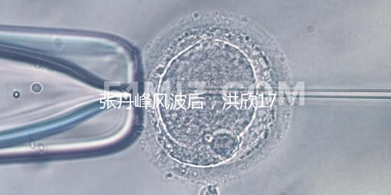 張丹峰風波后，洪欣17歲兒子表白媽媽一家人疑似和好如初