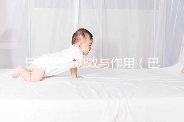 巴戟天的功效與作用(巴戟天配什么壯陽(yáng)最猛)