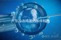 廣東冷凍雞蛋的條件和費用明細！包含廣州前三醫(yī)院的詳細信息！
