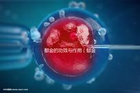 郁金的功效與作用（郁金和柴胡哪個疏肝好）