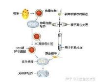 選對成功一半！來看看海南哪家醫院能做三代試管嬰兒