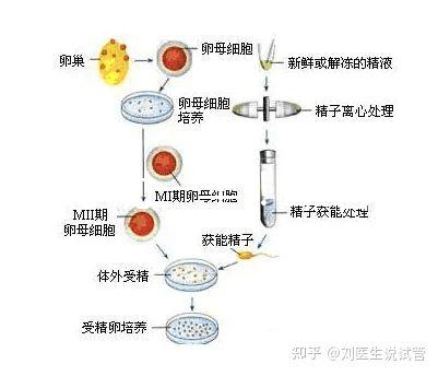 選對成功一半！來看看海南哪家醫院能做三代試管嬰兒