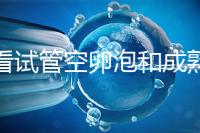 速看試管空卵泡和成熟卵泡能否區(qū)分開，這兩大技巧學(xué)起來