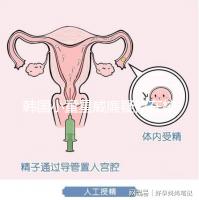 韓國小童星威廉疑似在校被霸凌？父親Sam辟謠：凹高冷人設