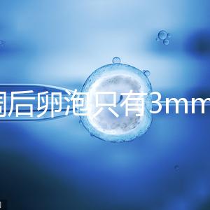 降調后卵泡只有3mm時不要慌，多吃豆類即可恢復正常